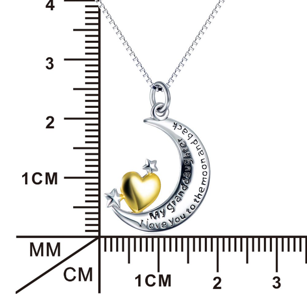 Moon &Star Shape Pendant 925 Silver Necklace - Rhyme - and - Chain